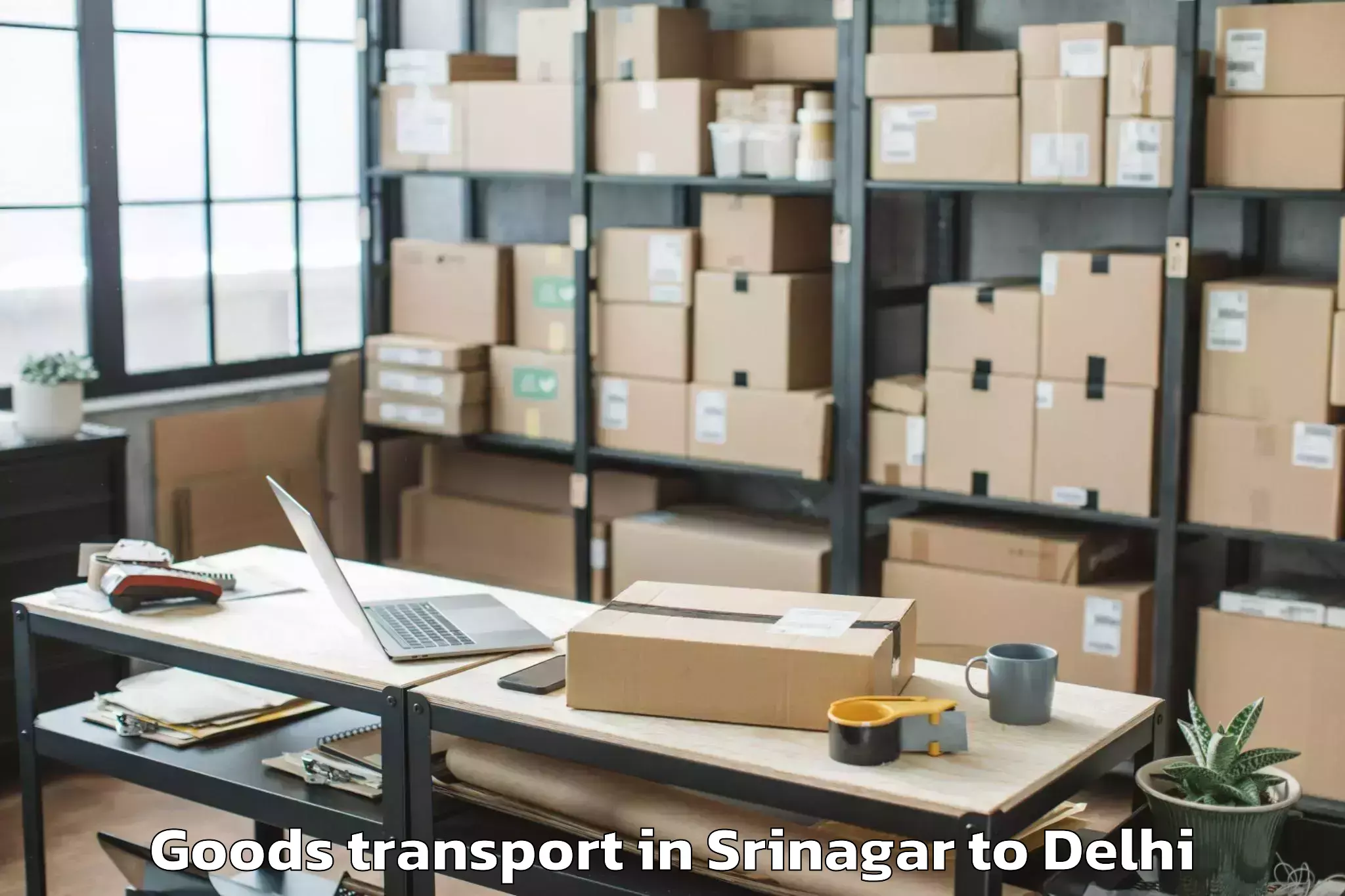 Book Srinagar to Shahdara Goods Transport Online